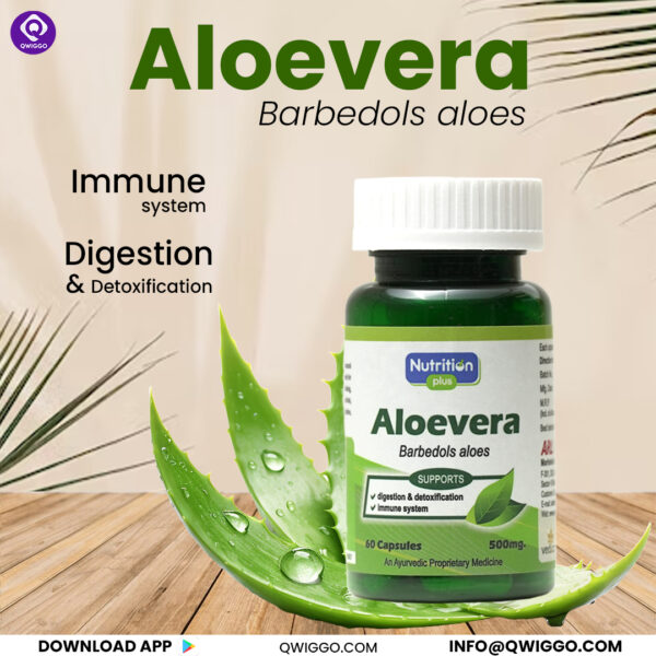 Aloe Vera Capsules - Image 3