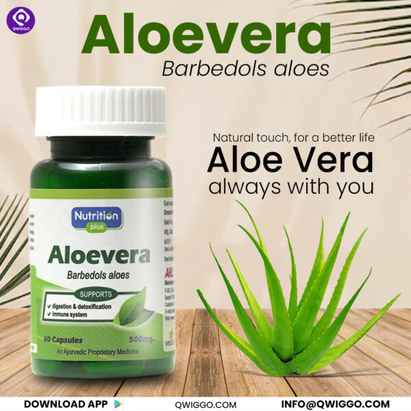 Aloe Vera Capsules - Image 6