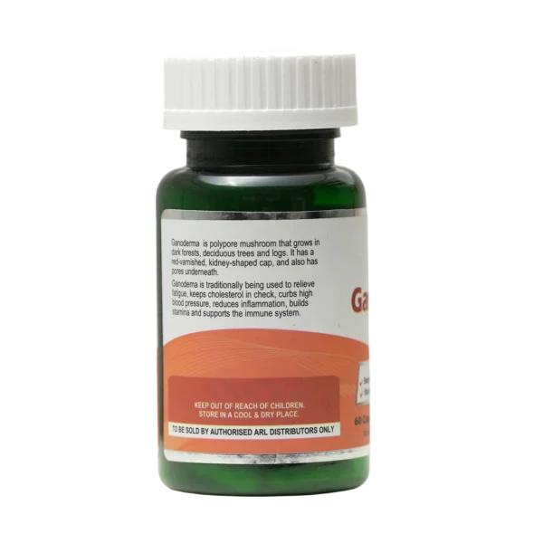 Ganoderma Capsules - Image 2