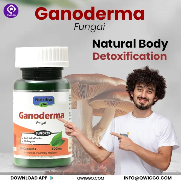 Ganoderma Capsules - Image 4