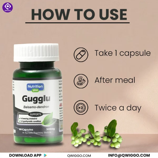 Gugglu Capsules - Image 4