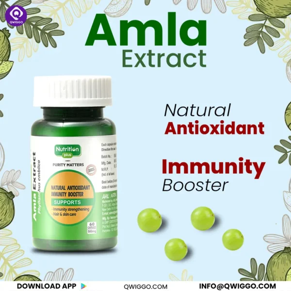 Premium Amla Capsules - Image 3