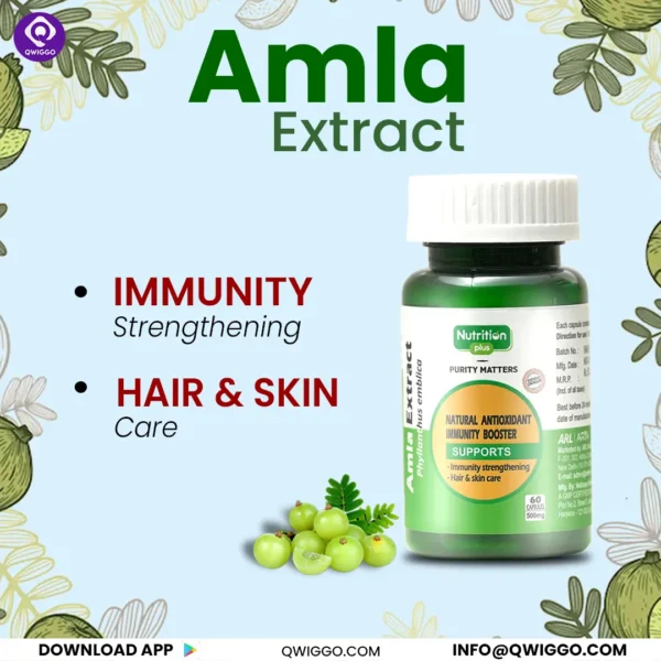 Premium Amla Capsules - Image 6