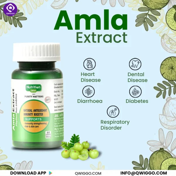 Premium Amla Capsules - Image 4