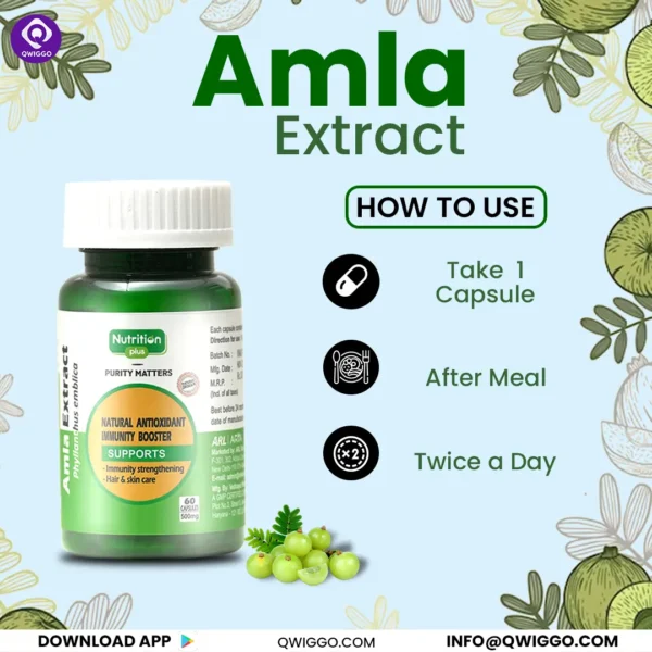 Premium Amla Capsules - Image 5