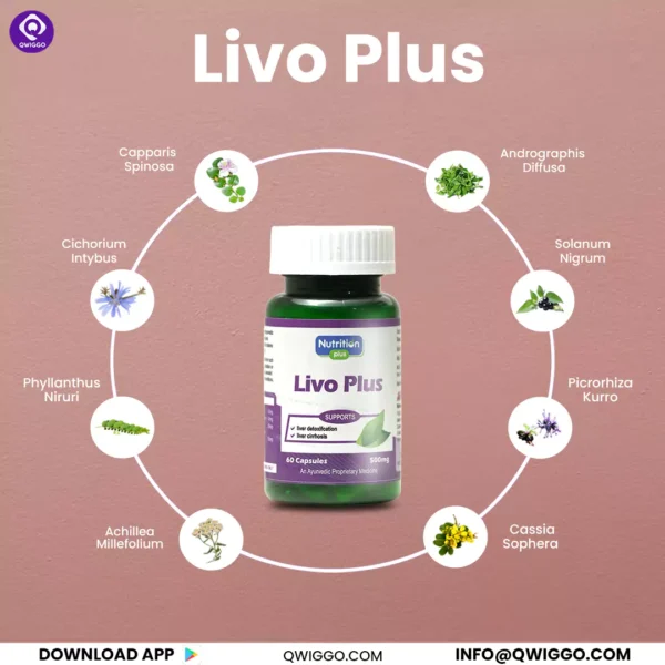 Livo Plus Capsules - Image 3