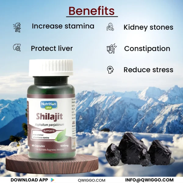 Shilajit Capsules - Image 4