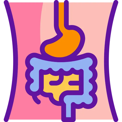 Digestion